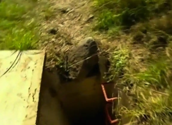 Baby abandoned in a storm drain in Australia