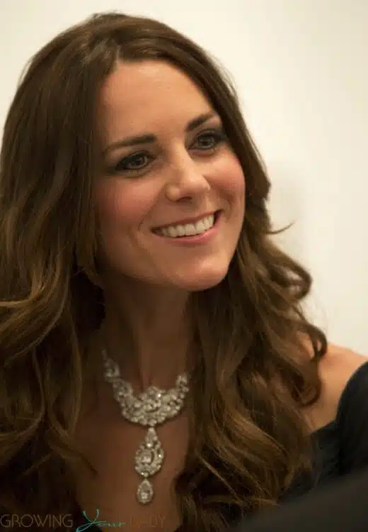 Catherine, Duchess of Cambridge attends The Portrait Gala 2014