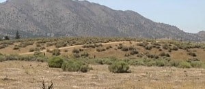 Field where the littlegirl was found