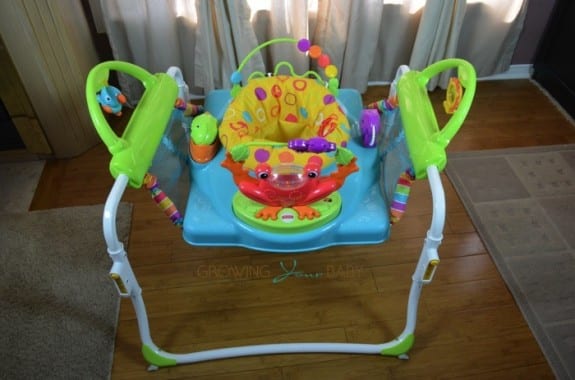 frog jumperoo