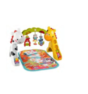 Fisher-Price Newborn-to-Toddler Play Gym