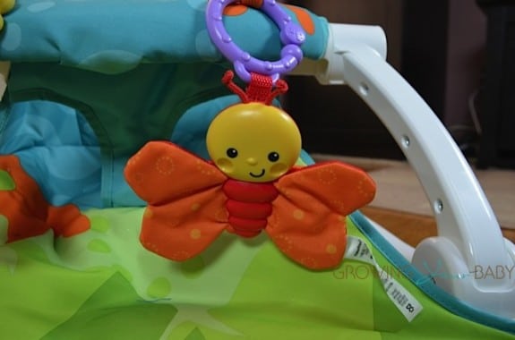 fisher price butterfly toy