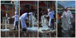 Freedom of the Seas- Ice Carving demo