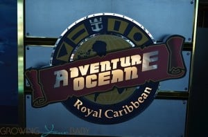 Freedom of the Seas - adventure ocean