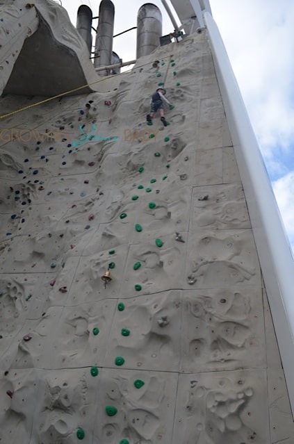 Freedom of the Seas - rockclimbing wall
