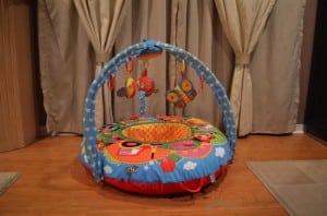 Galt Toys playnest & Gym