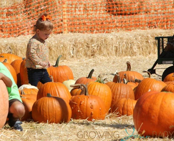 Haven Warren at Mr. Bones Pumpkin Patch