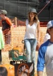 Jessica Alba grabs some pumpkins at Mr