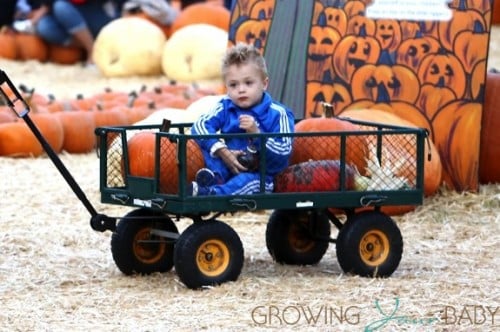 Julian Thicke in the wagon at Mr. Bones Pumpkin Patch