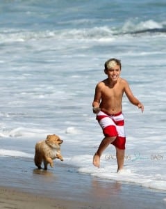 Kingston Rossdale runs on the beach with his puppy