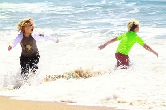 Kingston and Zuma play at the beach in Malibu