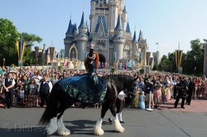 Merida's Royal Celebration