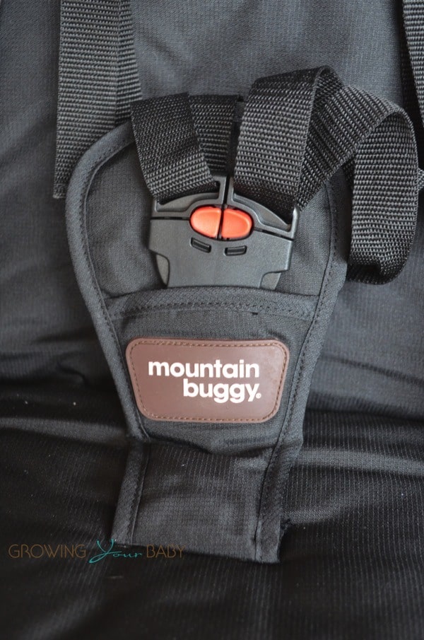 mountain buggy harness