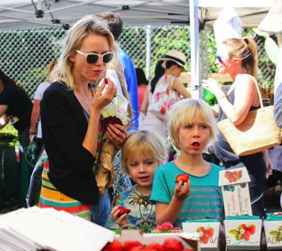 Naomi Watts at the farmer's market with sons Sasha and Sammy