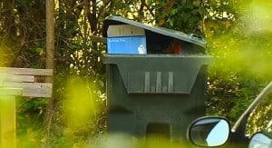 Neighbours find newborn in garbage