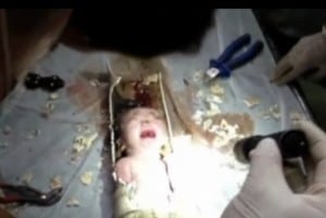 Newborn stuck in Sewer China