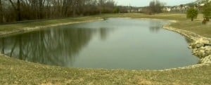 Nine Month-Old Rescued From Ohio Pond