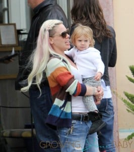 Pink and baby Willow leaves Coogies in Malibu