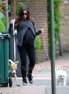 Pregnant Jenna Dewan Takes The Dogs For A Walk