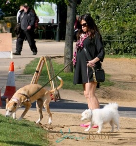 Pregnant Jenna Dewan-Tatum walks her dogs in London