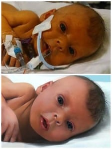 Reddit members photoshop baby Sophia Steffel