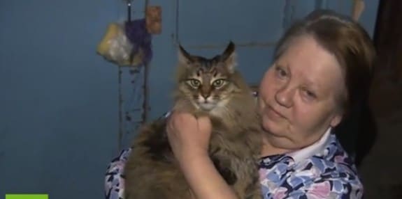 Russian Cat Masha saves abandoned baby
