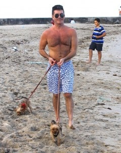 Simon Cowell walks his dogs on the beach in Miami