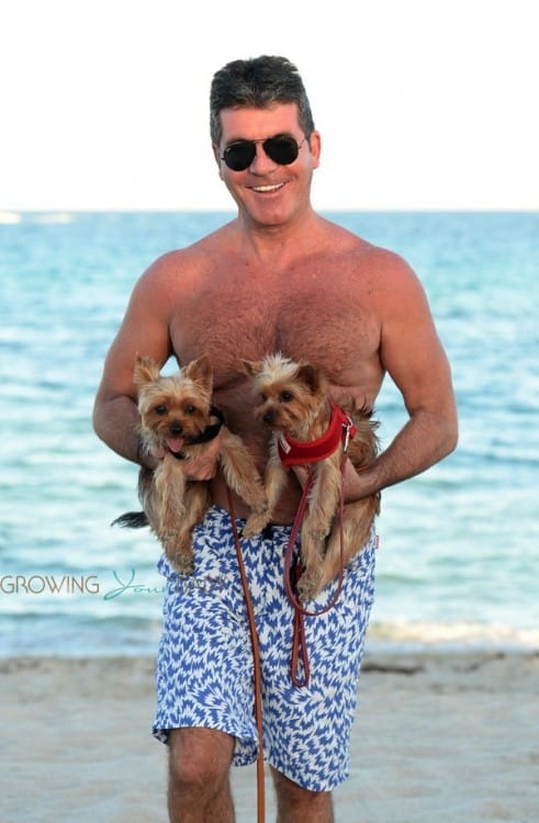 Simon Cowell with dogs in Miami