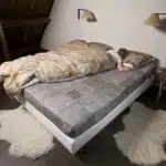Snurk Le-Clochard