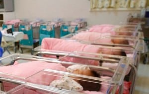 babies in hospital nursery
