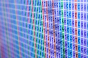DNA Bases Alignment