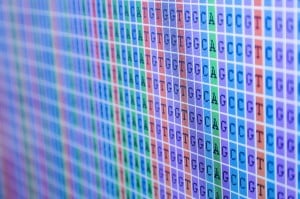 DNA Bases Alignment