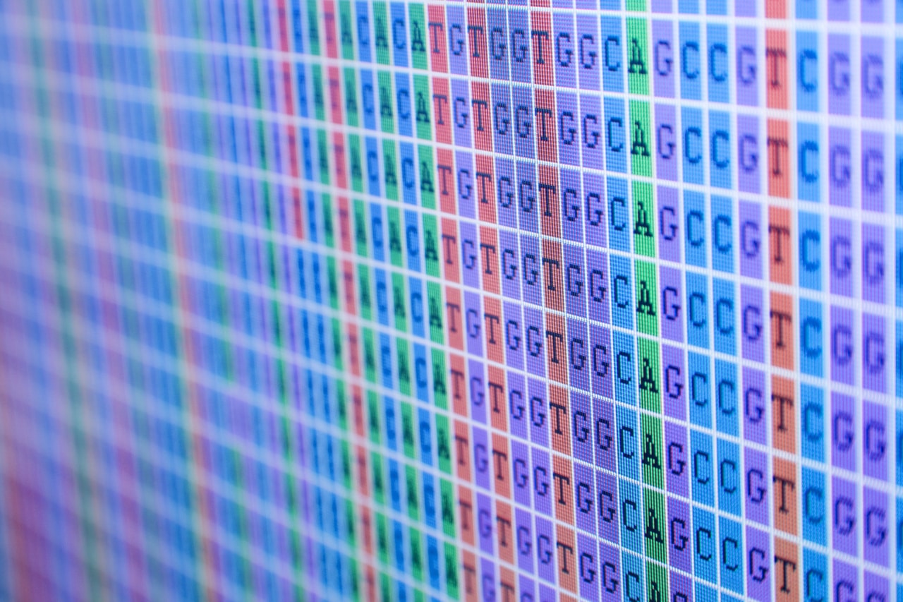 DNA Bases Alignment