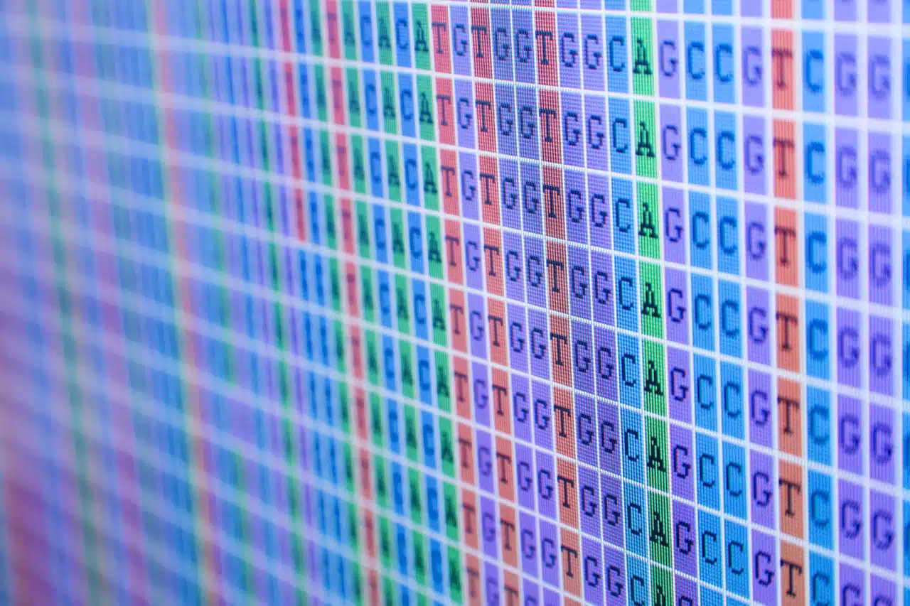 DNA Bases Alignment