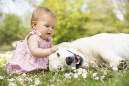 little girl with dog