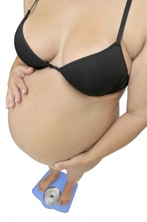pregnant scale